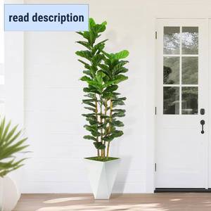 lot 152040 image: Retails for $158 Artificial Fiddle Leaf Fig Tree,6ft Tall Fake Plant Indoor with White Planter,Faux Ficus Tree with Natural Wood Trunk for Home Living Room Office Decor