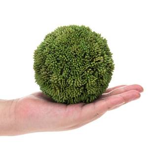 lot 7950 image: MyGift 4 Inch Decorative Boxwood Balls Topiary, Lifelike Artificial Foliage Greenery Faux Bowl Fillers, Set of 2 - Retail $20