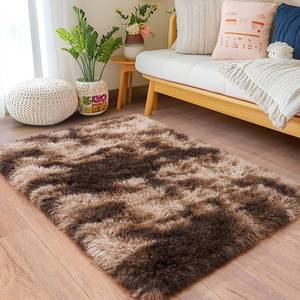 lot 27008 image: Small Rugs for Bedroom, Fluffy 2x3 Rug Throw Non Slip for Bedside Dorm Kids Room, Plush Comfy Shag Carpet for Home Decor Aesthetic, Tie-Dyed Brown - Retail $14
