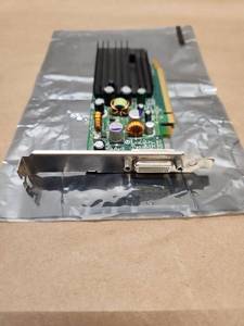 lot 50 image: NVIDIA GeForce Graphics Card with DVI Output