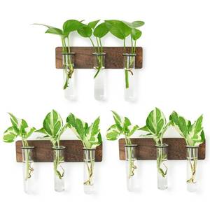 lot 8085 image: XXXFLOWER Wall Mounted Plant Terrarium with Wooden Stand 3 PCS Hanging Planter Propagation Station with 3 Glass Tubes for Plant Cuttings Flower Vases for Home Office Indoor Decor - Retail $16