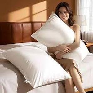 lot 8290 image: Lianlam Goose Down and Feather Pillow 20x26in
