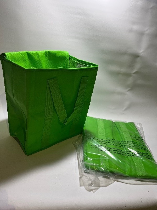 lot 192 image: 2 Insulated Travel Bags - Bright Green Zip Up W Handles - Great for groceries Picnics Sports Games Tailsgates - 22 x 18 x 6