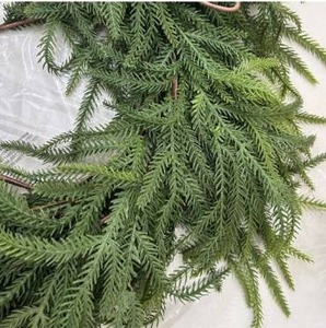 lot 1904 image: Artificial Real Touch Deluxe Norfolk Pine Garland