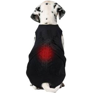 lot 7524 image: LETSQK Dog Back Brace for IVDD & Spinal Recovery, Adjustable Breathable Support Vest Dog Lumbar Protector Helps Pain Relief, Pet Surgical Suit for Back Disease Prevention, Black XS