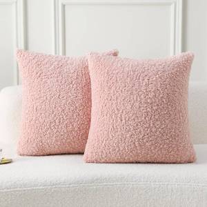 lot 2175 image: FUTEI Pink Throw Pillow Covers 20x20 Inch Set of 2,Furry Faux Fur Teddy Boucle Textured Cushion Covers,Soft Fluffy Decorative Pillow Case,Home Decor for Couch Bed Living Room Office