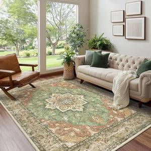 lot 2202 image: LAISE Boho 5x7 Area Rug for Bedroom,Traditional Vintage Boho Distressed Non Slip Carpet,Indoor Retro Floral Throw Rug for Living Room,Dining Room,Office,Dorm,Kids Room(GreenOrange,5x7)