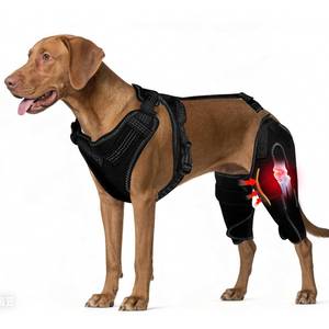 lot 2231 image: Arvion Dog Knee Braces for Back Leg, Adjustable Dog Leg Braces for Torn ACL Hind Leg with Metal Stabilizers, Better Recovery Knee Brace for Rear Leg Cruciate Ligament Injuries & Hip Dysplasia, L