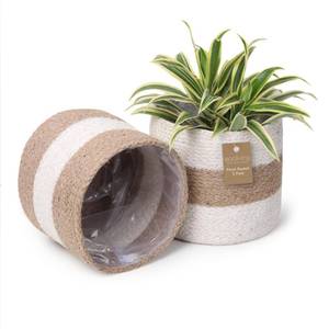 lot 2243 image: Eco Living Jute Planter Basket -Sustainable Woven Rope Covers for Decorating IndoorOutdoor Plants Pots 6.5x6.5x6 Inches Ideal Size for 6 Planter-Multi-Purpose Storage Set of 2 White & Natural Jute
