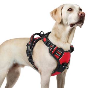 lot 2441 image: rabbitgoo Dog Harness for Large, No Pull Pet Harness with 3 Buckles, Adjustable Soft Padded Vest with Control Handle, Walking Reflective Pet Vest for Large Dogs, Red, L