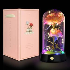 lot 2448 image: QUELIEN Mothers Day Carnation Flowers Gifts for Mom,Pink Artificial Carnation in Glass Dome with Led Light for Mothers Day,Birthday,Christmas
