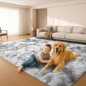 lot 161420 image: 5x7 Plush Fluffy Area Rugs, Large Soft Carpet, Upgraded Non-Slip Rectangular Rug for Living Room, Bedroom, Kids Room, Dorm,Modern Home Decor Aesthetic,Tie-Dyed Grey.