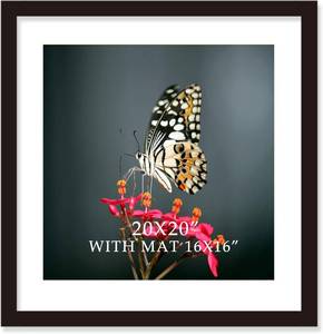 lot 461277 image: 20x20 Frame Black With Mat 16x16 Solid Wood Picture Frames Wall Mounting (1 pack, 20x20 Inch)