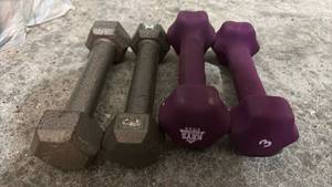 lot 59290 image: Mixed Weight Dumbbell Set - Cast Iron and Neoprene Coated 3lbs - Retail $15
