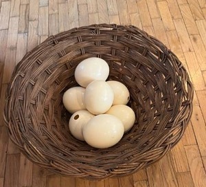 lot 59323 image: Wicker Basket with faux Eggs - Retail $15