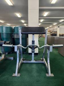 lot 20045 image: Hammer Strength Preacher Curl Bench