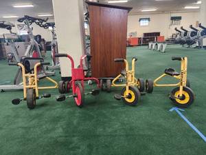 lot 20076 image: Lakeshore Childrens Tricycles with Support Handles
