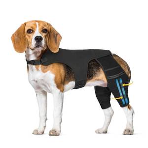 lot 8624 image: Marnonsis Dog Leg Braces for Torn ACL Hind Leg, with 4 Metal Stabilizers Support,Adjustable Dog Knee Braces for Back Leg, CCL, Luxating Patella, Ligament Injuries, Hip Dysplasia (Black, L) - Retail $77