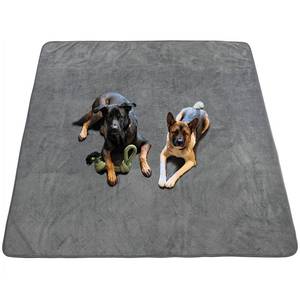 lot 8653 image: Dog Pee Pad Washable Extra Large, Instant Absorb Thicker Training Pads Non-Slip Pet Playpen Mat, Waterproof Reusable Floor Mat Ideal for Puppy Senior Dog Whelping Incontinence Housebreaking 65x48 Inch - Retail $39
