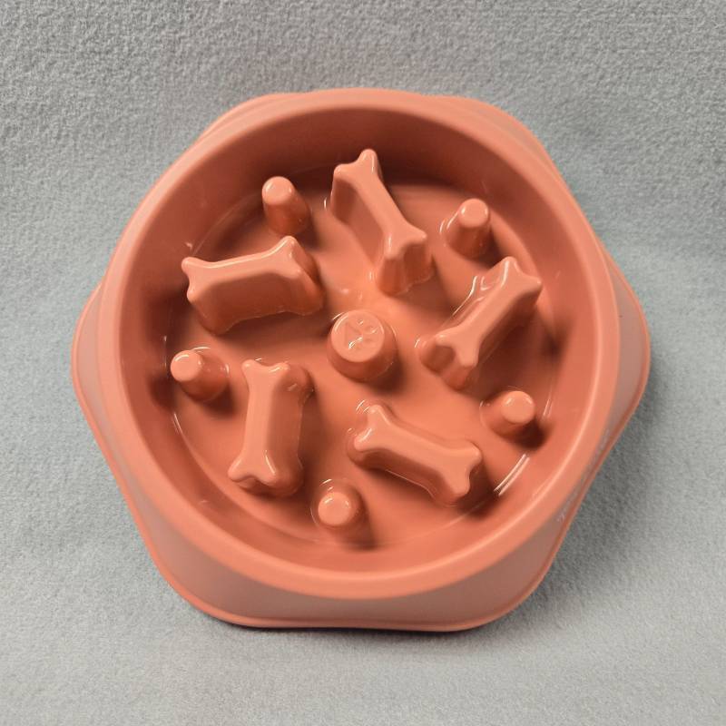 lot 145 image: Little Cutie Thing slow Feeder Dog Bowl