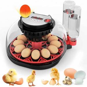 lot 43684 image: Egg Incubator with Automatic Egg Turning and Humidity Control, Intelligent Egg Incubator with Automatic Temp Egg Candler Air Vent, 360° Clear View, Hatching Chicken Duck Quail Bird 12 egg