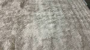 lot 2005 image: Tan 7x10 Shag Area Rug.