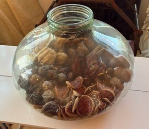 lot 38 image: Large Glass Jar Filled with Natural Seed Pods and Shells - Retail $15
