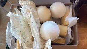 lot 44 image: BOX LOT OF CANDLES Assorted Sizes & Styles Decorative  Household  - Retail $200