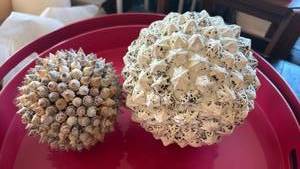 lot 55 image: Natural Seashell Decorative Spheres RETAIL $25