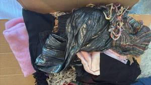 lot 52072 image: MIXED LOT OF WOMENS SCARVES & BELTS  - Retail $25