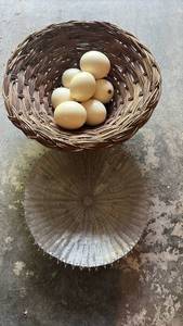 lot 52079 image: Set of 2 Decorative Baskets  Wicker Basket with Faux Eggs & Beaded Wire Basket - Retail $15