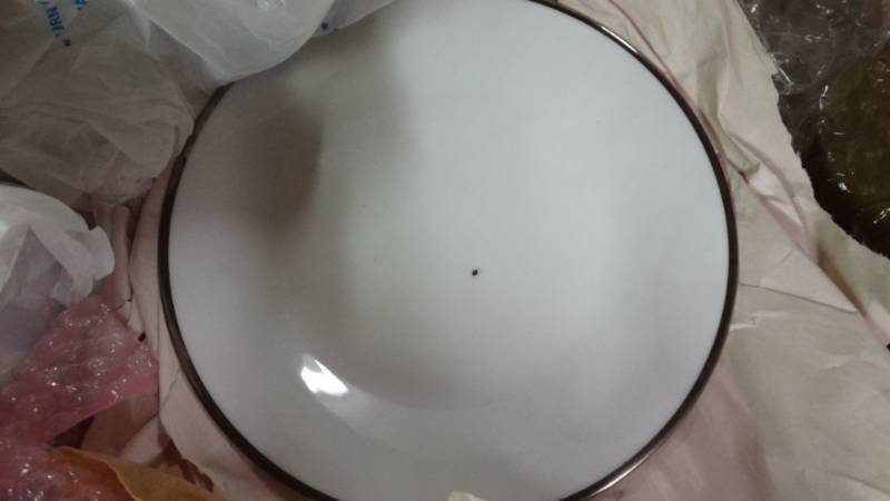 lot 17625 image: Set of Noritake China Over 80 pcs.
