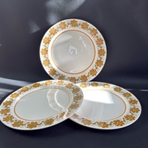 lot 300 image: Very Hard to Find (3) Mikasa Anita Vintage Orange Flower Pattern Dinner Plates