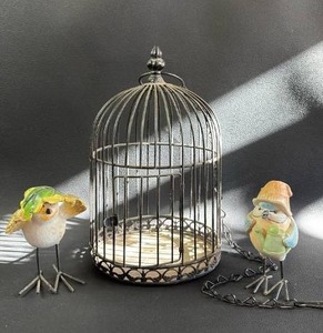 lot 305 image: Decorative Bird Cage with Bird Figurines Set