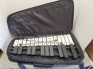 Glockenspiel Xylophone with Carrying Case