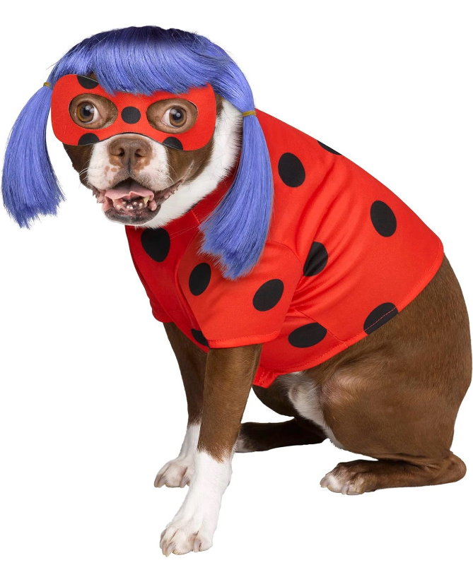 lot 3171 image: InSpirit Designs Miraculous Ladybug, Pet Costume Officially Licensed S-L Sizing Available - Retail $0