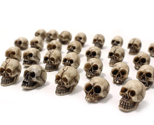 lot 3451 image: BinaryABC Mini Skull Figurine Miniature Skeleton Head Table Decor,Halloween Micro Landscape Figure,Halloween Prank Props,Haunted Dollhouse Accessories,20PCS(0.7x0.39) - Retail $0