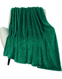lot 3716 image: TOONOW Fleece Blanket Textured Fuzzy Plush Throw Blanket Twin Size 60 x 80, Super Soft Fluffy Bed Blanket Geometric Pattern Comfy Microfiber Flannel Blankets for Couch, Bed, Sofa, Emerald - Retail $0