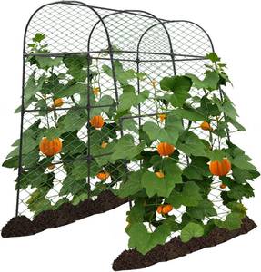 lot 171291 image: AlisisFores Garden Arch Trellis for Climbing Plants Outdoor 7.2 ft Height Large Tunnel Trellis Support for Vegetables Plant Cucumber Trellis for Garden Raised Bed, Black