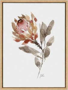 lot 8868 image: Kate and Laurel Sylvie Wild King Protea Framed Canvas Wall Art by Sara Berrenson, 18x24 Natural, Beautiful Wild Flower Art for Wall