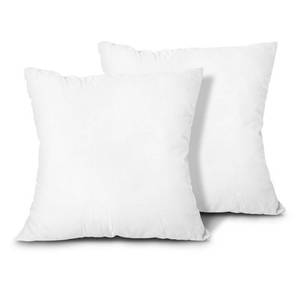 lot 21222 image: EDOW Throw Pillow Inserts, Set of 2 Lightweight Down Alternative Polyester Pillow, Couch Cushion, Sham Stuffer, Machine Washable. (White, 18x18) - Retail $12