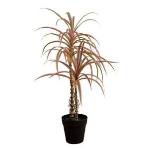 lot 63230 image: Nearly Natural 2ft. Artificial Dracaena Marginata Plant