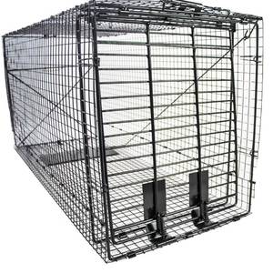 lot 62114 image: Humane Way Folding 50 Inch Live Humane Animal Trap - Safe Traps for All Animals - Dogs, Raccoons, Cats, Groundhogs, Opossums, Coyote, Bobcat - 50x20x26