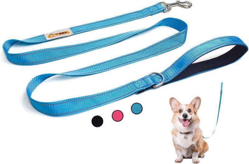 lot 63980 image: YALAVA 5FT Dog Leash with Soft Padded Handle, Heavy Duty Nylon Reflective Dog Leashes, Fits Small Medium or Large Dogs, Blue