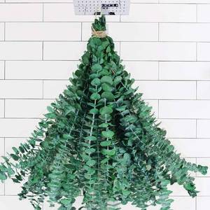 lot 64326 image: 20 PCS Dried Preserved Eucalyptus for Shower, 17 Real Natural Fresh Hanging Eucalyptus Stems,Real Leaves Branches for Vase Filler,Bathroom