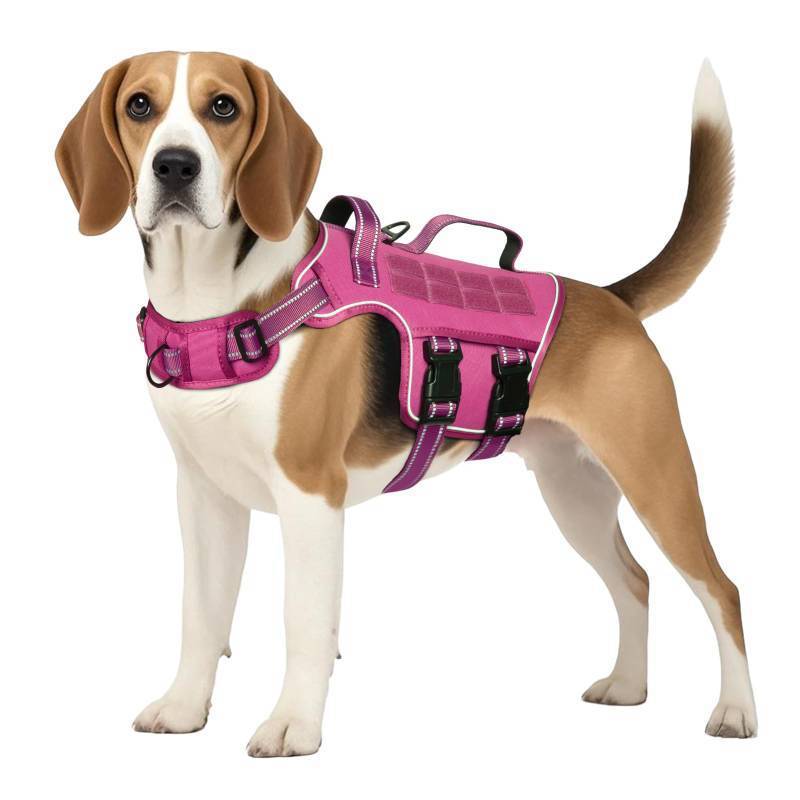 lot 45581 image: Tactical Dog Harness Medium Sized, Heavy Duty No Pull Dog Harness with Handle, Easy On and Off Service Dog Vest with Molle System, Reflective Pet Vest for Walking Hiking Training - Retail $20