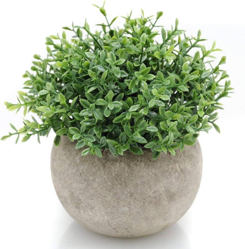 lot 50109 image: Velener Mini Sage Green Potted Boxwood Topiary Artificial Plants for Home Decor Indoor, Farmhouse House Plant Office Small Desk Shelf Apartment Coffee Bar Bathroom Decor Guest Room, Small Fake Plant - Retail $13