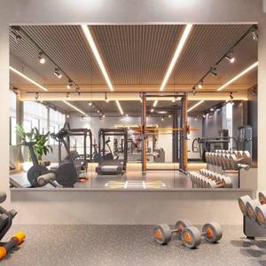 lot 20624 image: pertetey Home Gym Mirror, 56X30 Inch(Each)-3Pack Large Frameless Tempered Glass Full Body Wall Mounted Mirror for Gym, Yoga, Exercise, Dance Studio - Retail $279