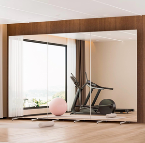 lot 20677 image: brisafe NanoMirror Non-Glass 118 x 71 Extra Large Mobile Dance Mirror with Wheels, Shatterproof Nano Film Rolling Gym Mirror for Studio, Yoga, Pilates, School & Home Gym, White - Retail $599