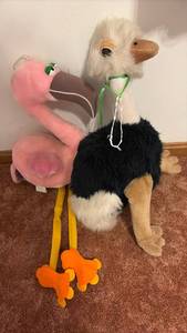 lot 60677 image: Plush Flamingo and Ostrich Bird Stuffed Animal Set - Retail $25